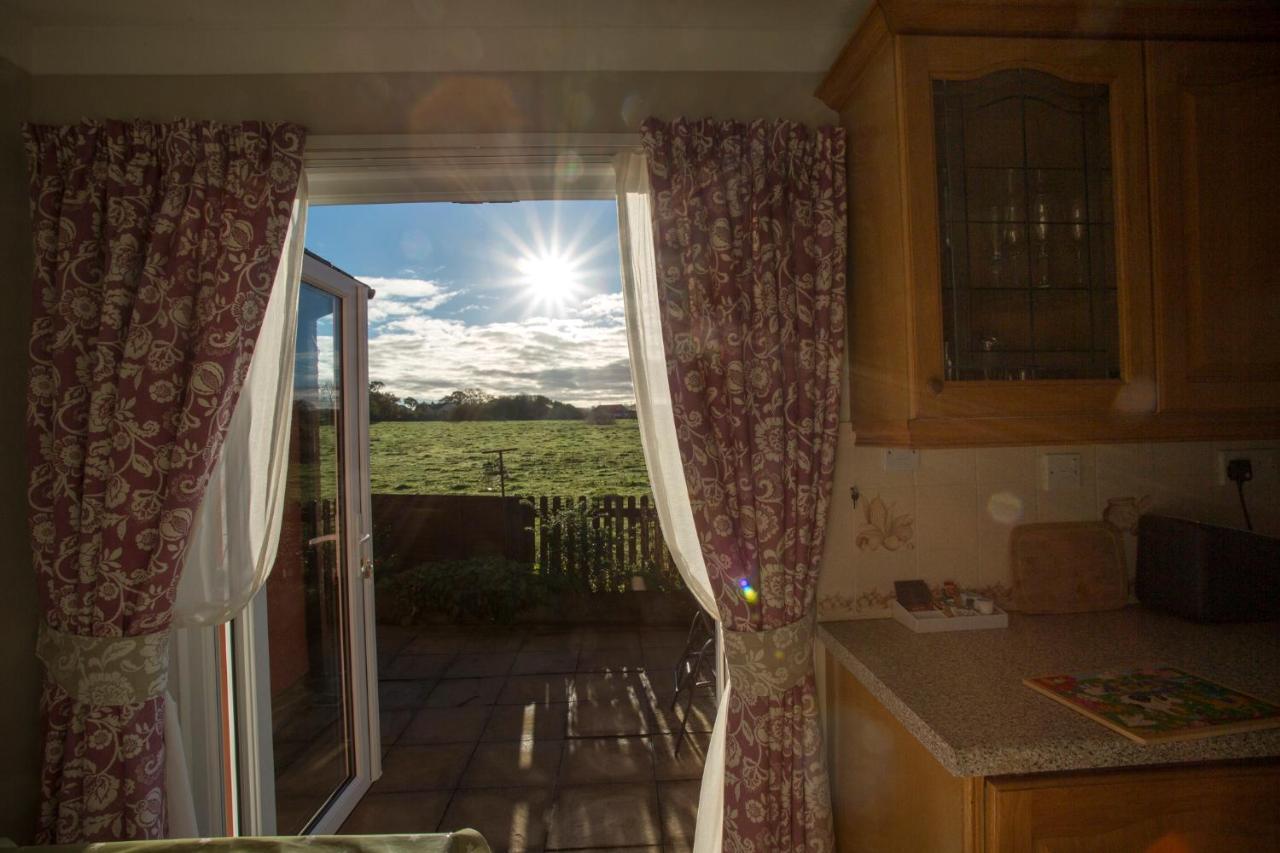 Goitre Bach Cottage Aberaeron Exterior photo